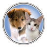 Avatar for Cat and DOG Chat With Caren