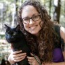 Avatar for Kitty Cat Chronicles