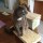 How to Make Cat Shelves That Your Cats Will Love